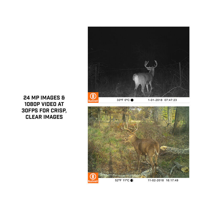 Bushnell Trail Camera 24mp 119938C