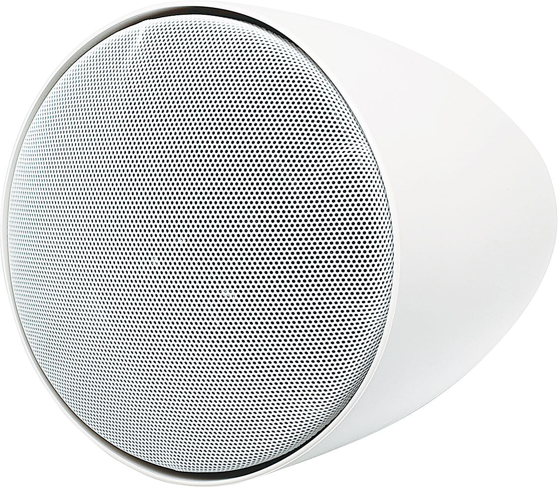 Ceiling Speaker 30W 100V Line Pendant C1057