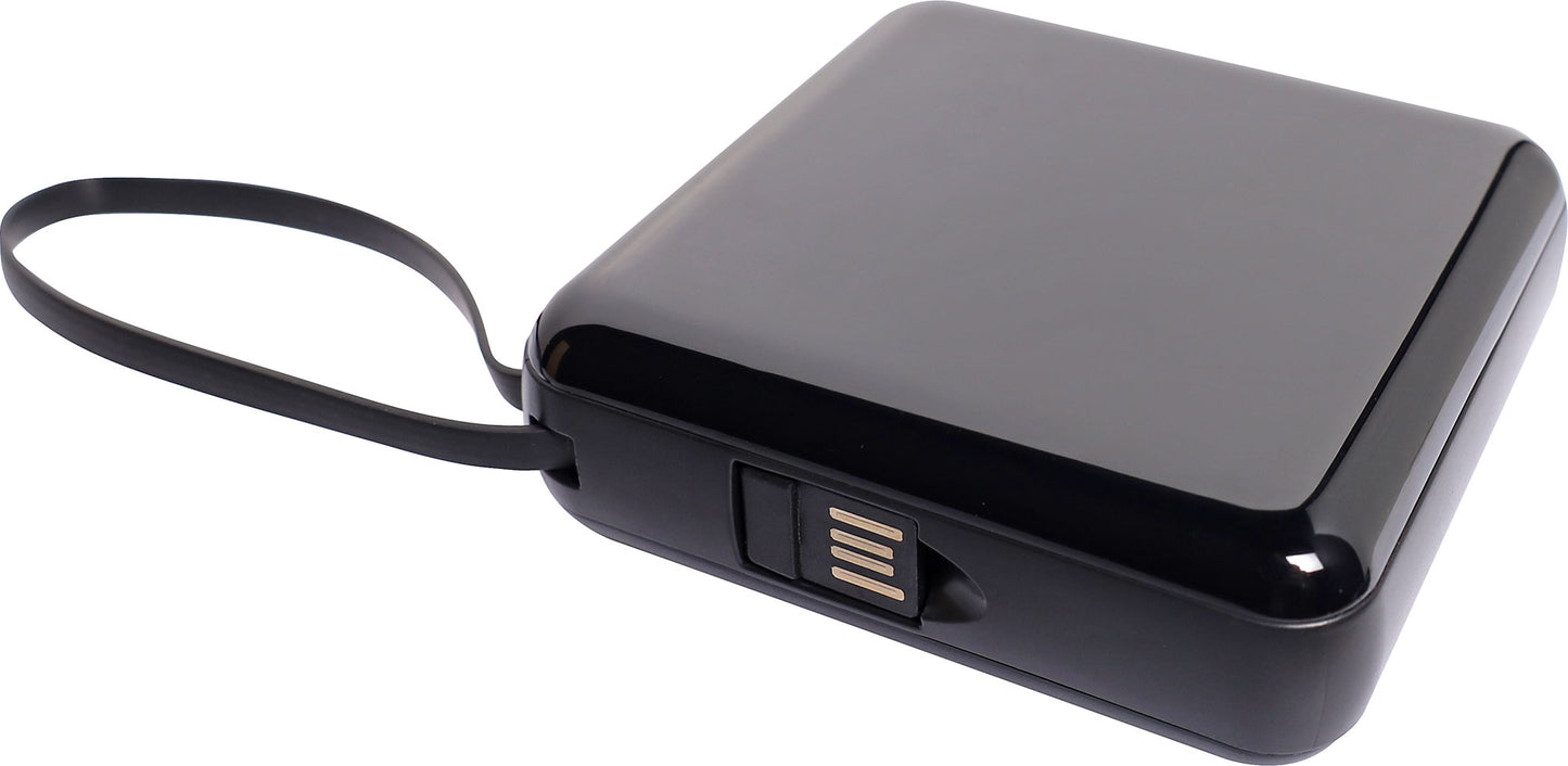 Power Bank Multi Lead 12000mAh D0510A