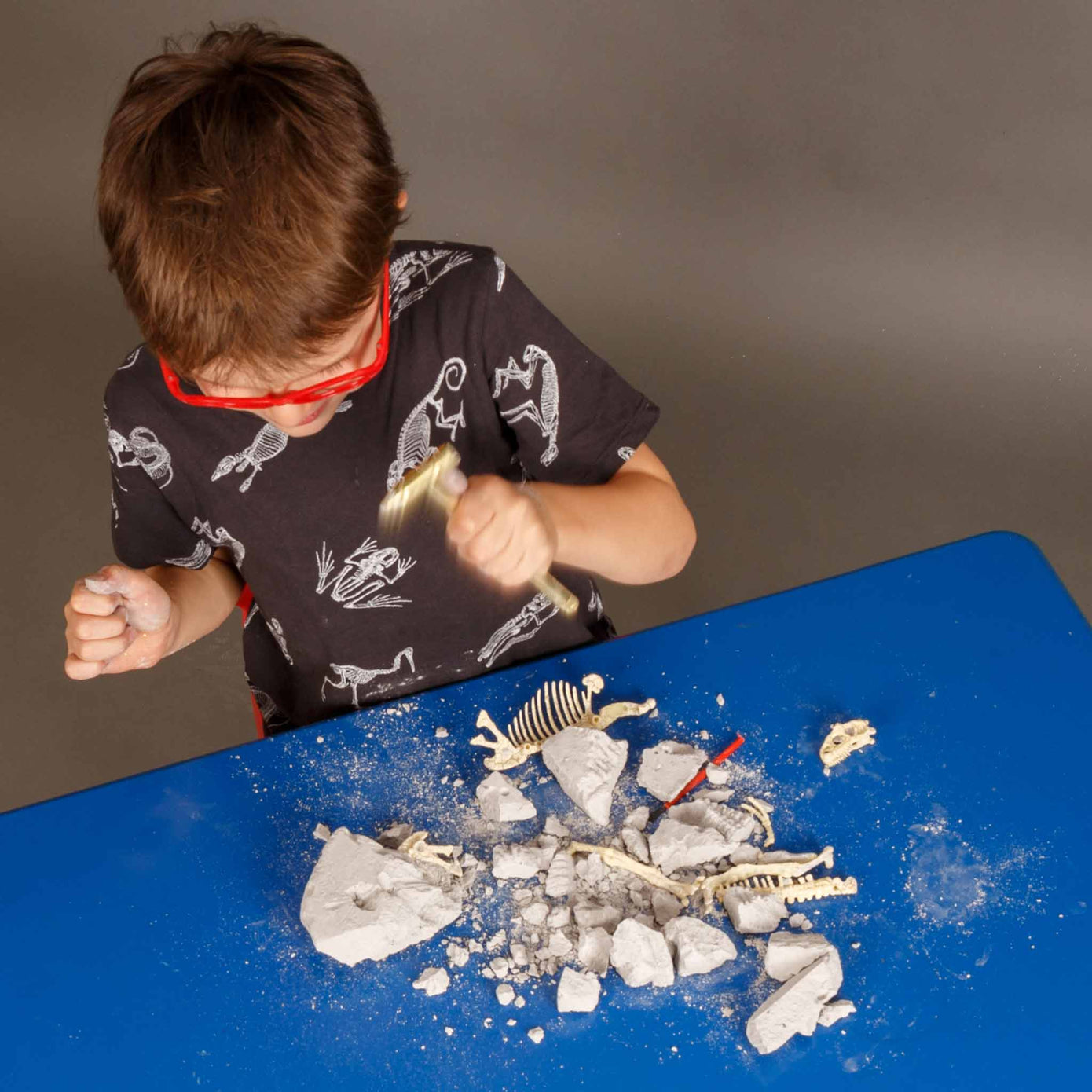 HEEBIE JEEBIES Stegosaurus Palaeontology Kit HJ-1852