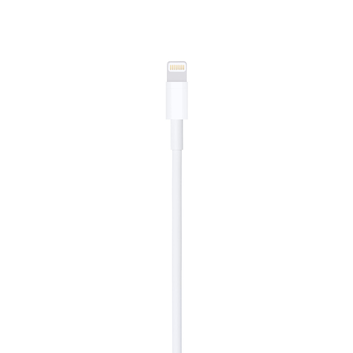 Apple Lightning To Usb Cable 1m 6181346 MUQW3ZA/A