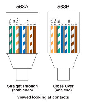 Modular RJ Connector RJ45 Modular Plug Cat5e Shielded (Suit Solid Cable) 8P8C P1382