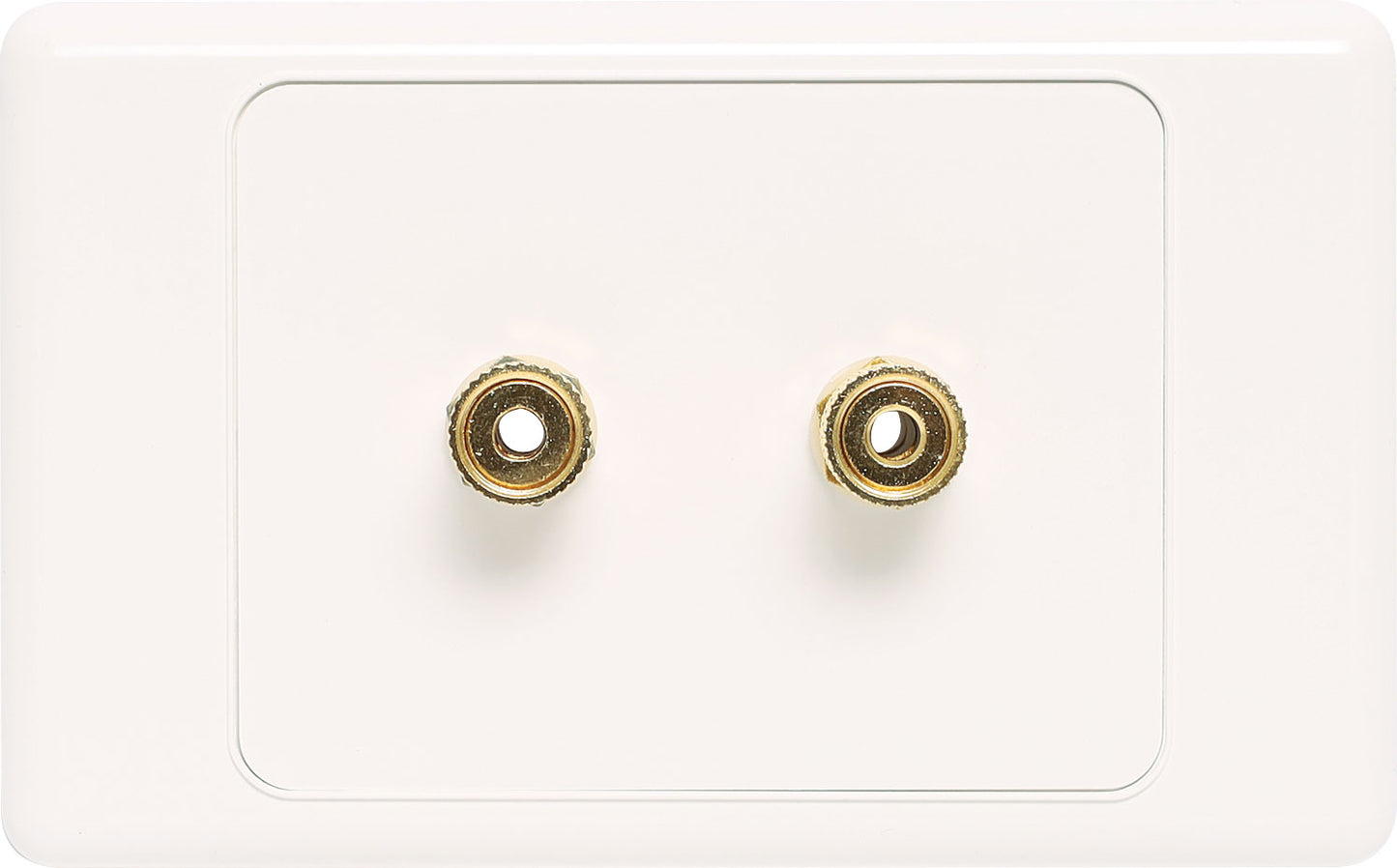 Wall Plate 12 x Binding Post Dual Cover Speaker P6811A