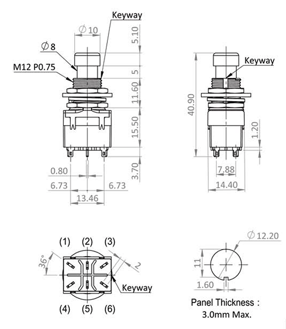 Push Button Switch DPDT Alternate Footpad S1150A