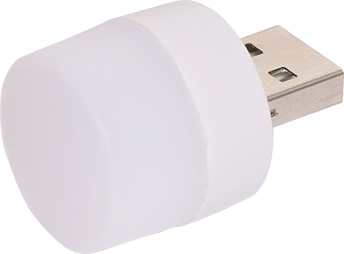 USB Warm LED Light 1W X0219