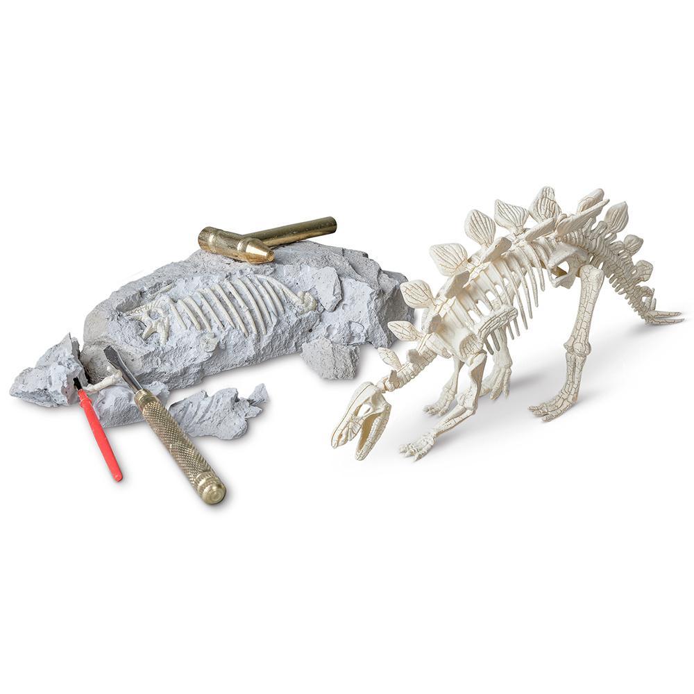 HEEBIE JEEBIES Stegosaurus Palaeontology Kit HJ-1852