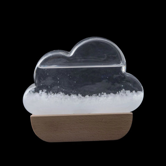 HEEBIE JEEBIES | Fitzroy's Storm Glass | Cloud HJ-0128