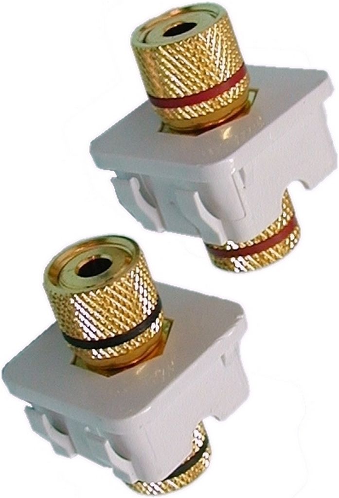 Wall Plate Insert RCA Socket Pair Red & White WPI40