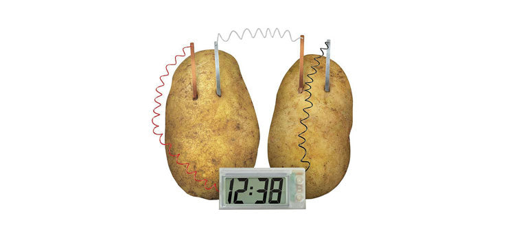 Potato Clock Science Experiment Kit