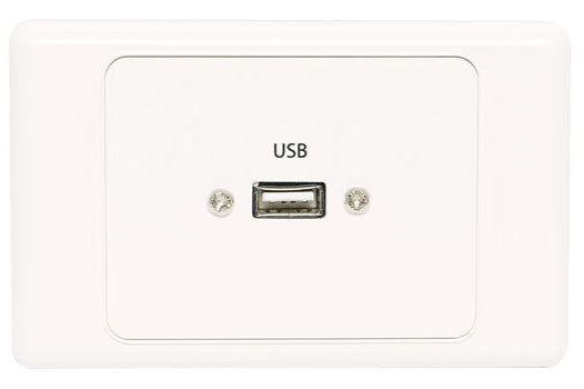 USB Single Wallplate Dual Cover with Socket Flylead