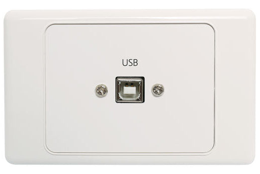 USB Type B Wallplate Dual Cover with USB A Plug Flylead