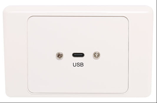 USB C Wallplate Dual Cover With Socket Flyleads