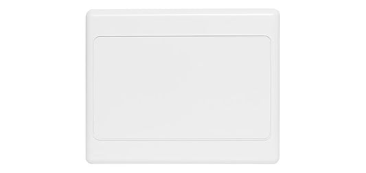 Blank Double Width Wallplate
