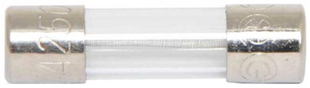 3.15A 5x20 (M205) 250V Slow-Blow Fuse