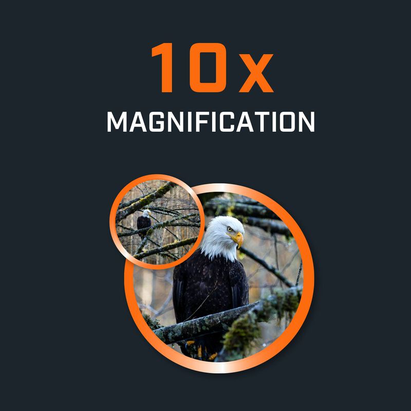 Bushnell 10x25 H2o Waterproof Binoculars 130105r