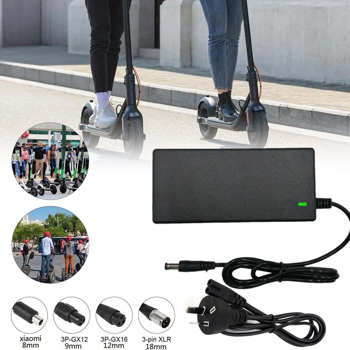 Mains Battery Charger E-scooter 42v 5in1 CHEBIKE5IN142V