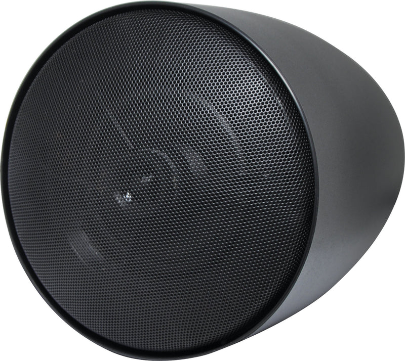 Ceiling Speaker 30W 100V Line Pendant Black C1058