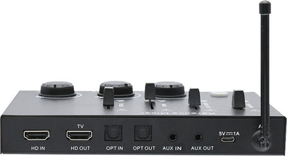 Wireless Microphone Systems Karaoke Mixer With Dual Wireless Microphones With Bluetooth C8825
