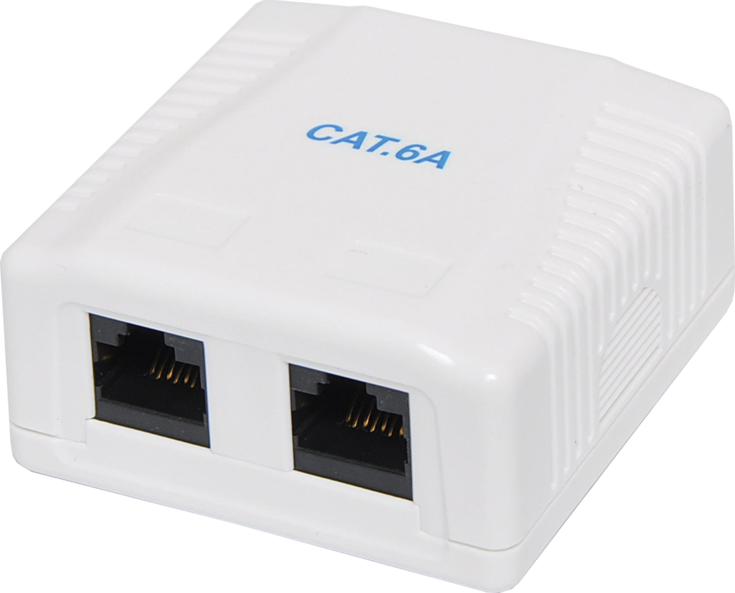 Networking Dual Keystone Surface Mount Wall Box RJ45 Cat6a D5118A
