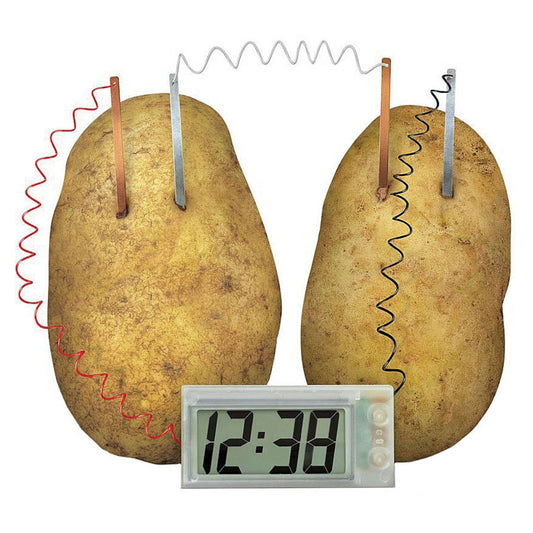 Educational Electronics Potato Clock Science Experiment Kit K1146