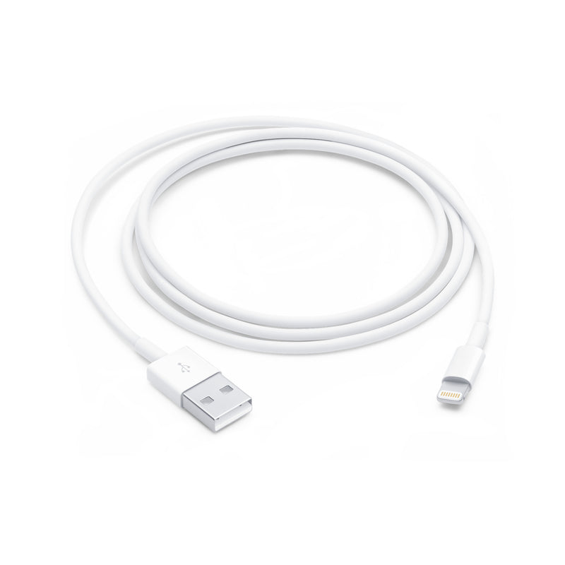 Apple Lightning To Usb Cable 1m 6181346 MUQW3ZA/A