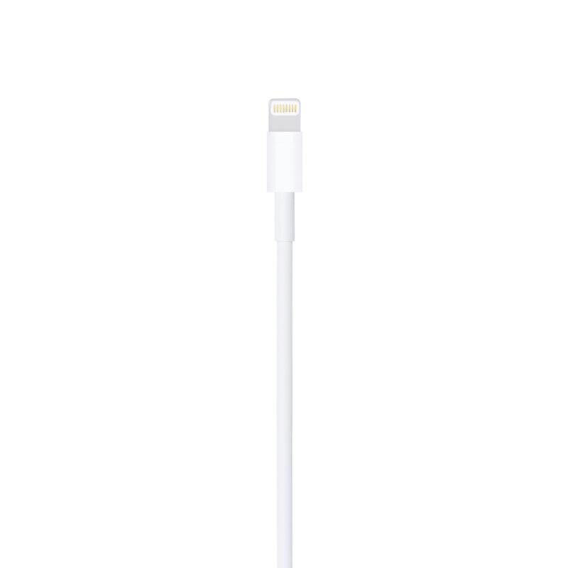 Apple Lightning To Usb Cable 1m 6181346 MUQW3ZA/A