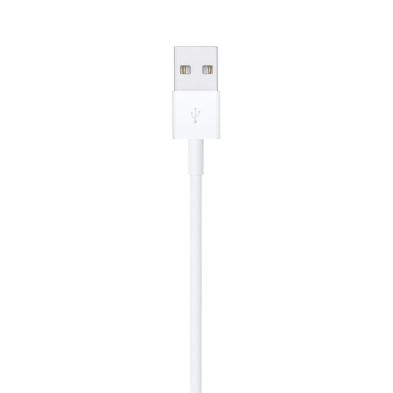 Apple Lightning To Usb Cable 1m 6181346 MUQW3ZA/A