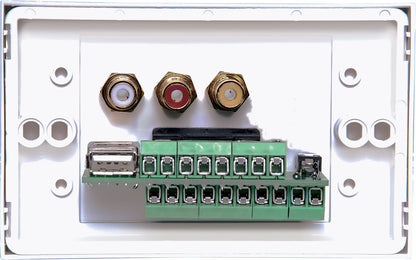 Wall Plate VGA 3.5mm USB A Dual Cover Screw Connect P5952