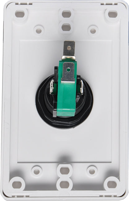 Wall Plate Press to Release Dual Cover S0152