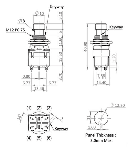Push Button Switch DPDT Alternate Footpad S1150A