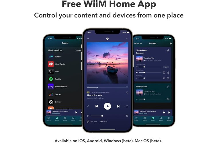 Wiim Pro Wireless Audio Streamer Airplay 2 & Chromecast WiiM-PRO