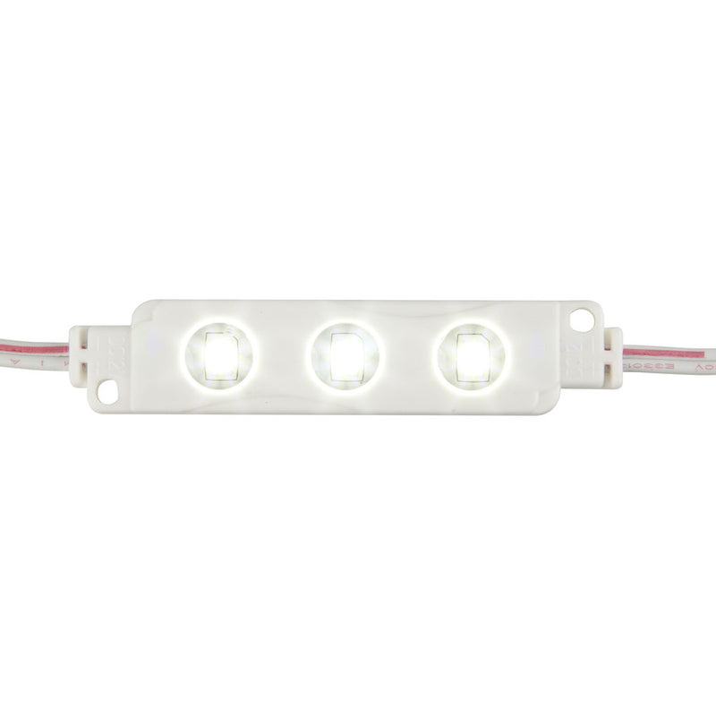 Copy of LED Module White IP65 12V ZD0590