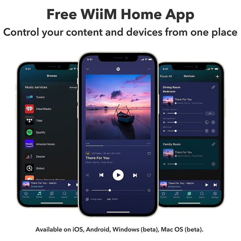 Wiim Pro Plus Audio Streamer Airplay 2 Chromecast WiiM-PRO-PLUS