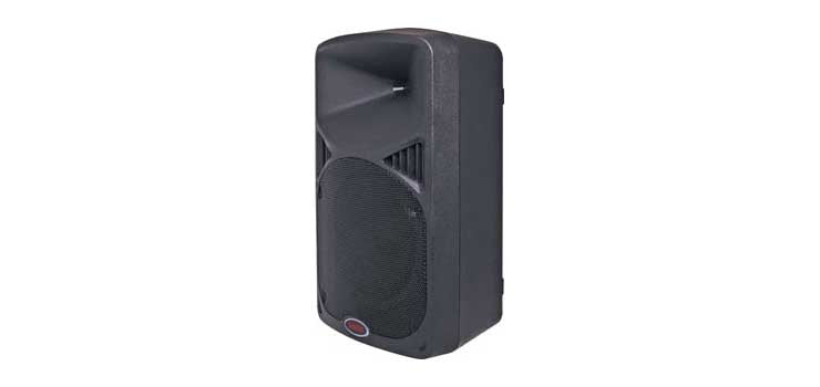 250mm 10 Inch 2 Way Powered PA Speaker With MP3/USB