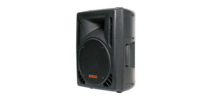 254mm 10 Inch 120W 2 Way Club Series PA Speaker