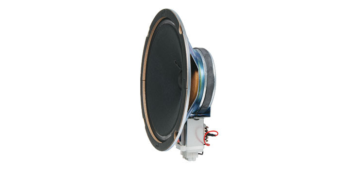 200mm (8") 15W 100V High Output EWIS PA Driver Speaker