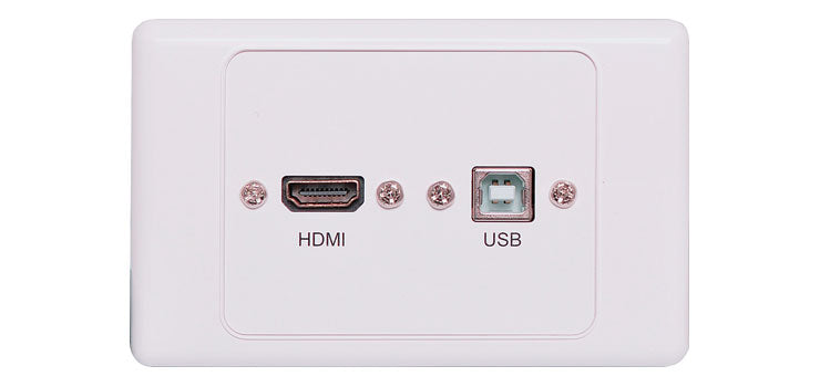 USB B HDMI Wallplate Dual Cover with Socket Flyleads