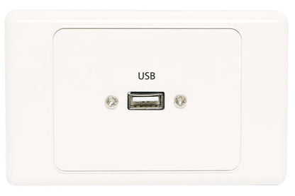 USB Single Wallplate Dual Cover with Socket Flylead