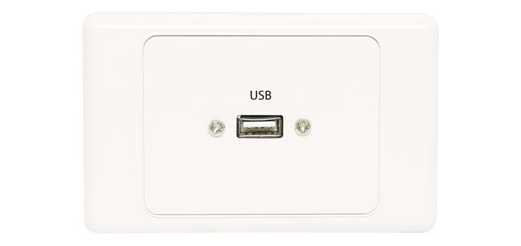 USB Single Wallplate Dual Cover with Socket Flylead