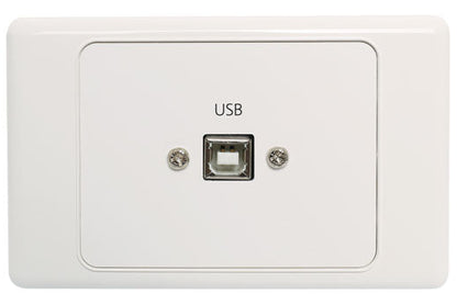 USB Type B Wallplate Dual Cover with USB A Plug Flylead