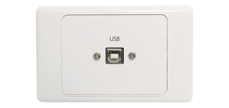 USB Type B Wallplate Dual Cover with USB A Plug Flylead