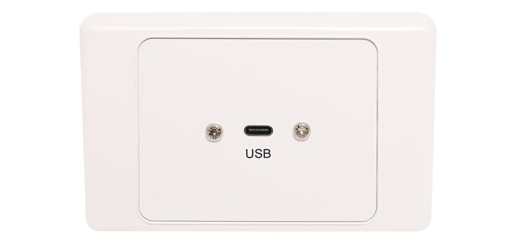 USB C Wallplate Dual Cover With Socket Flyleads