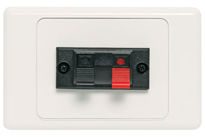 Single Spring Terminal Dual Cover Speaker Wallplate