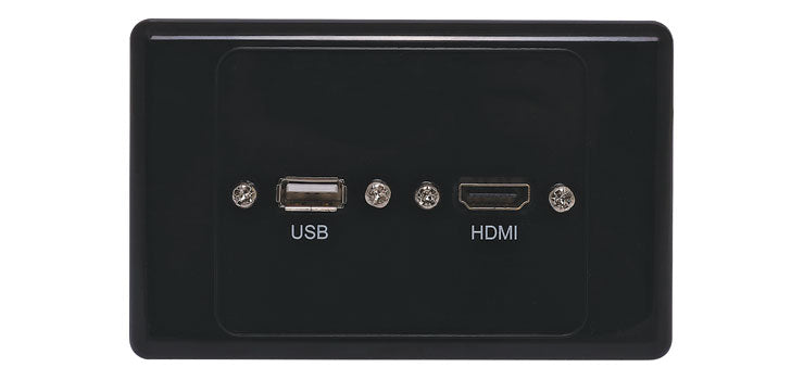 HDMI USB A  Black Wallplate Dual Cover with Flyleads