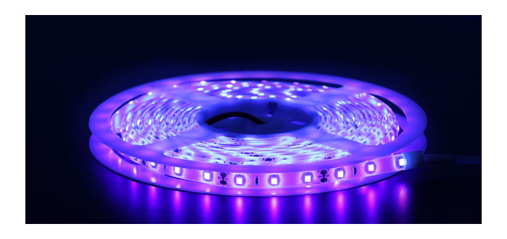 3528 12 Volt LED Strip Light 5m IP65 UV