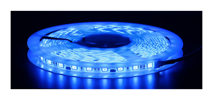 IP65 5050 Blue 12 Volt LED Strip Light 5m